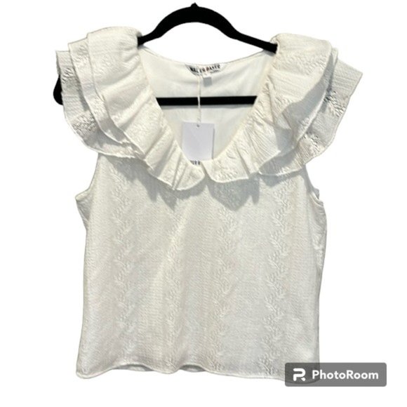 Walter Baker Hadlee Top in Palm Stripe Lace - Size L ๐ด - Picture 2 of 7